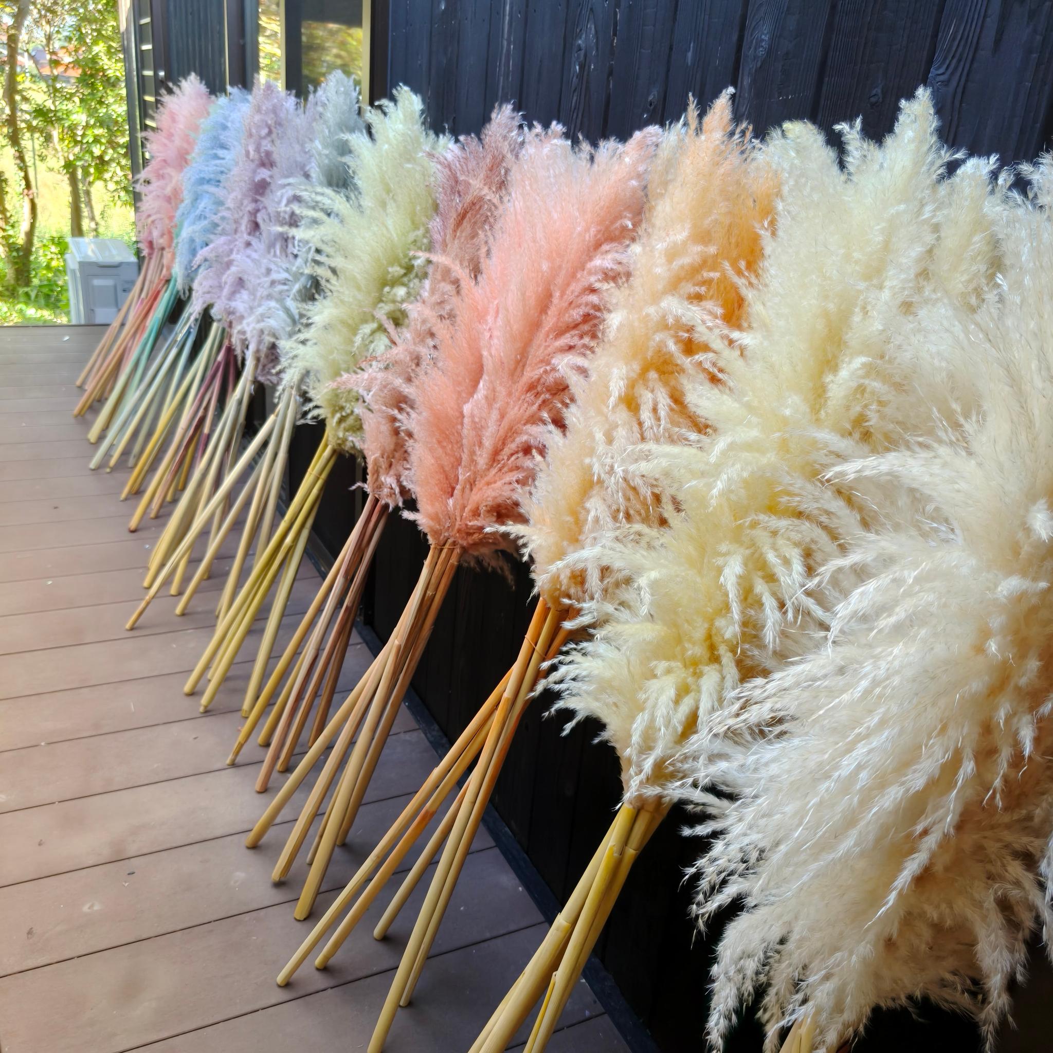 今季！暖色系の秋冬パンパスグラス  新築祝いドライフラワー インテリア ウェディング　即納クリスマス20251枚目の画像